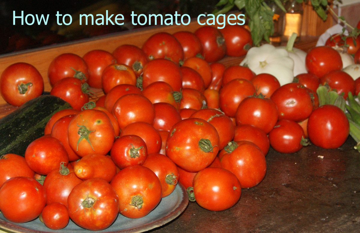How to Make Your Own Tomato Cages