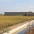 L'Ampolla, Spain - Ricefields, Irrigation System