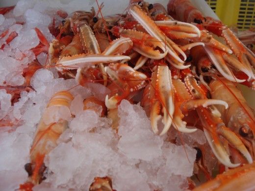 L'Ampolla, Spain - Seafood Market - Scampi