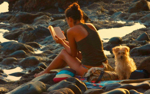 Do you dream of reading a book on a remote beach and enjoying your solitude? You may be an introvert!