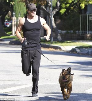 Morning runs with your dog.