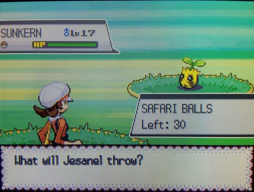 How to Catch Chansey in the Pokémon Games | LevelSkip