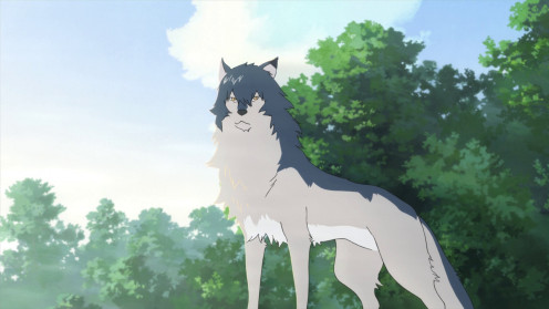 Ame in his wolf form