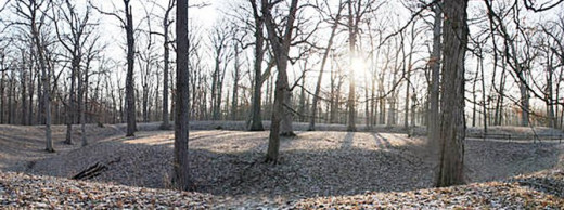 The Great Mound - Trees have grown up on the mound since Indians used it for ceremonies