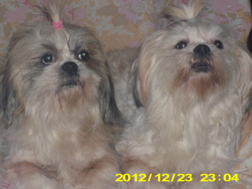 Mother(Abbigail) on the left. Daughter(Sunny) on the right