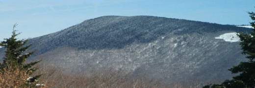 Winter mantle on Mount Rogers, Virginia.