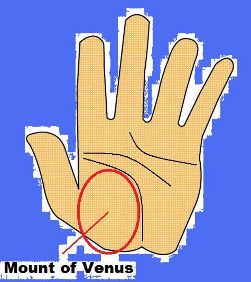 Wealthy and Successful Palmistry Hand Lines | Exemplore