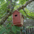 Red bird house