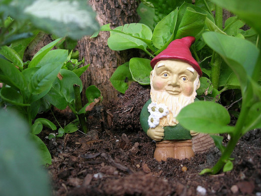 Garden gnome: a must-have!