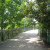 Walking trails