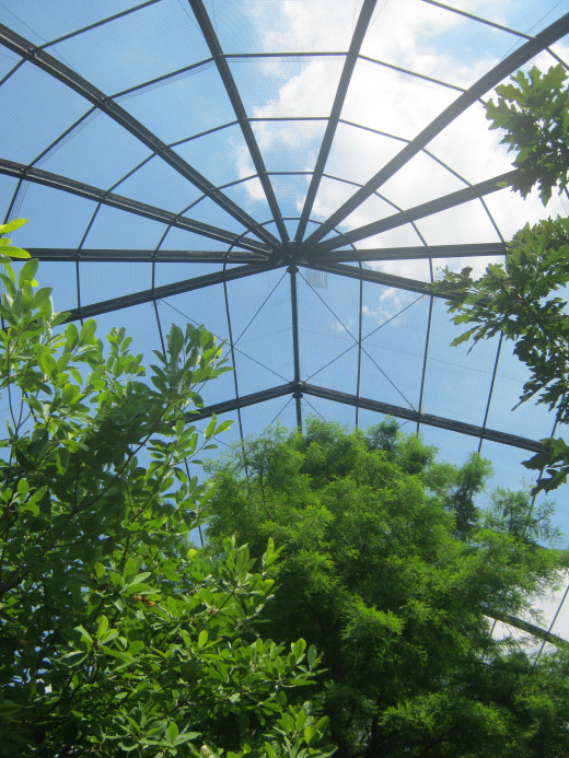 Bird cage