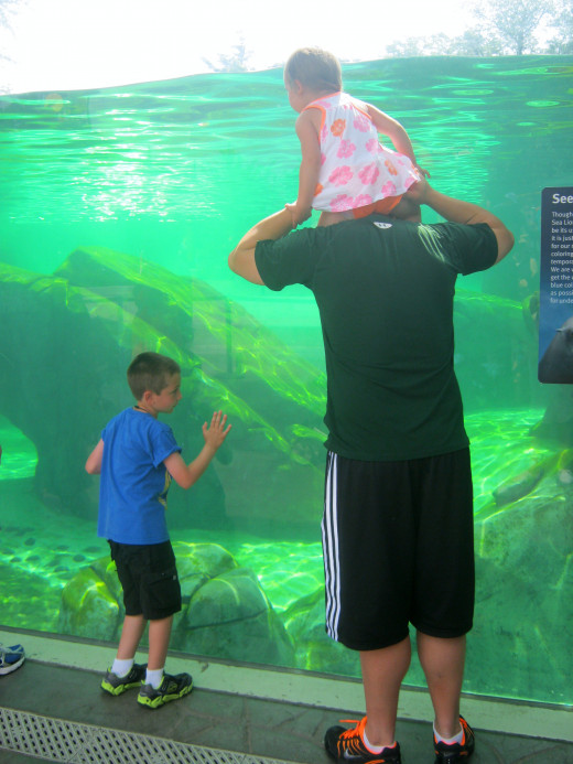 Families enjoying the water animal tanks