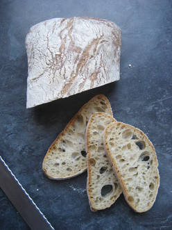 Ciabatta Bread Technique And Recipe