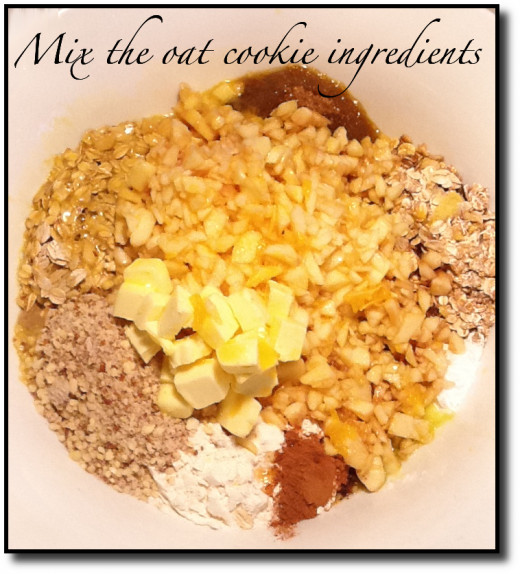 Oat Cookie Unmixed Ingredients