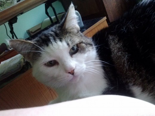 Fiona with Healthy Eyes 