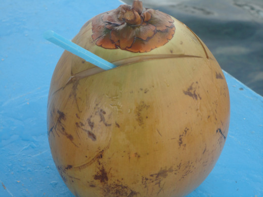 Coconut at the middle of the ocean