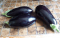 Eggplant Health Benefits and Easy Recipes