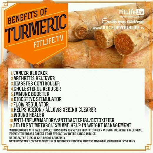 Some health benefits of turmeric. Turmeric in curry and many Indian foods. Click on picture for sharper image.