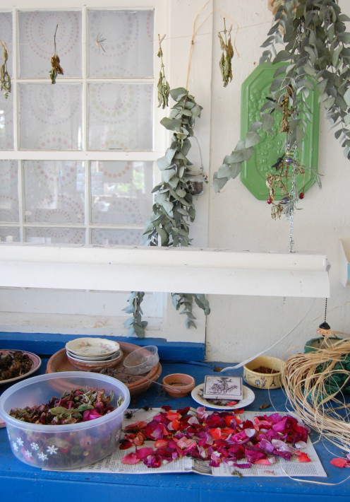 prepare your winter stock of dried herbs.