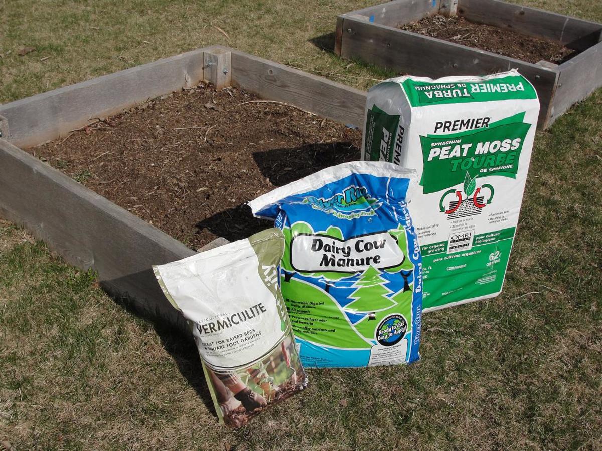 How To Amend Raised Bed Garden Soil Dengarden