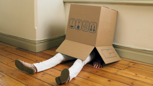 If all else fails, you can try actually hiding in a parcel, as this one rather timid 204b candidate did.  Just try not to get dispatched.