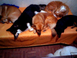 http://s4.hubimg.com/u/8159159_f248.jpg