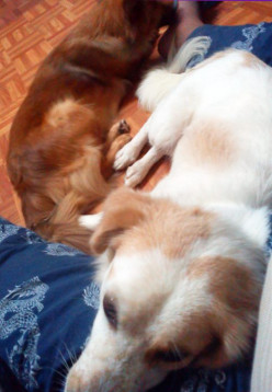 http://s2.hubimg.com/u/8159169_f248.jpg