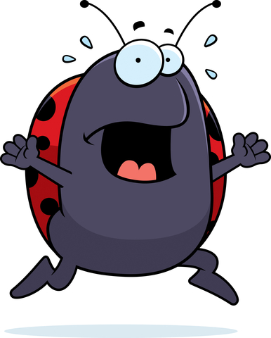 Panic Attacks can come out of the blue.