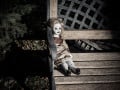 Scary Stories About Dolls: Haunted Island Dolls