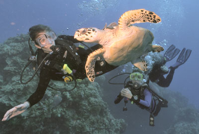 Mayan Rivera scuba diving.