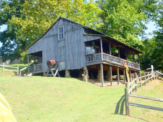Back home in the country