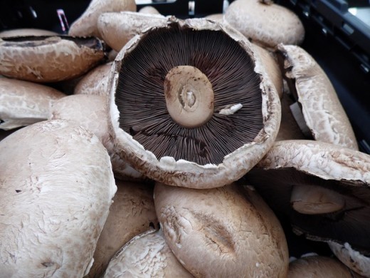 Mushrooms - selenium, potassium, riboflavin, niacin, vitamin D, folate. Only 20 calories for 5 medium sized mushrooms.