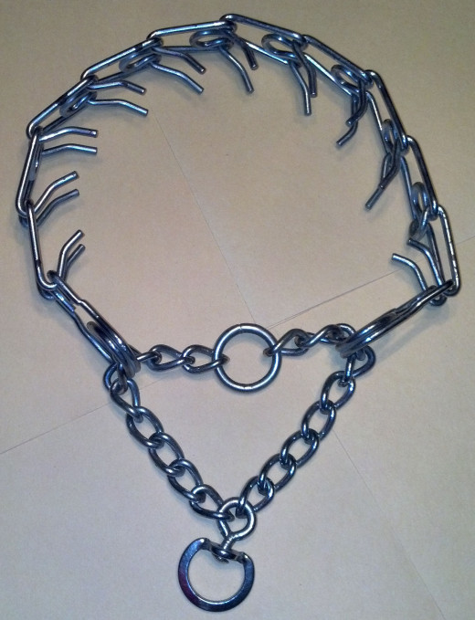 Yes, this collar is laid out correctly.  The splines face inwards, towards the throat.  The leash attaches to the circle you see at the bottom, which is positioned at the back of the neck. 