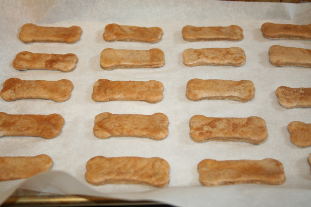 Baking homemade dog training treats, peanut butter biscuits, with your