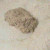 Empty dough onto floured surface Empty dough onto floured surface
