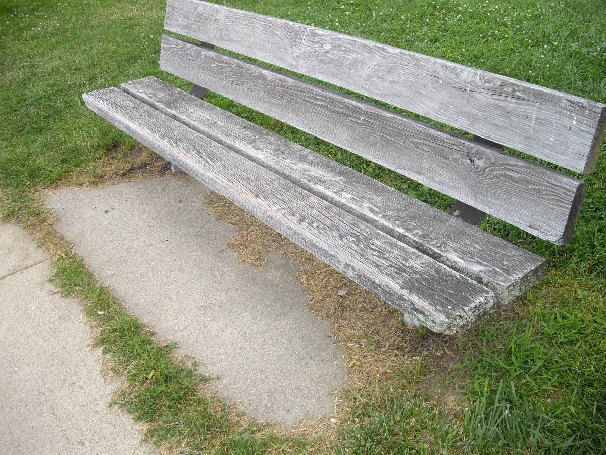 One of the benches on the side of the Harborwalk 