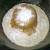 Begin crust by stirring sugar and baking soda into the oat flour. Begin crust by stirring sugar and baking soda into the oat flour.
