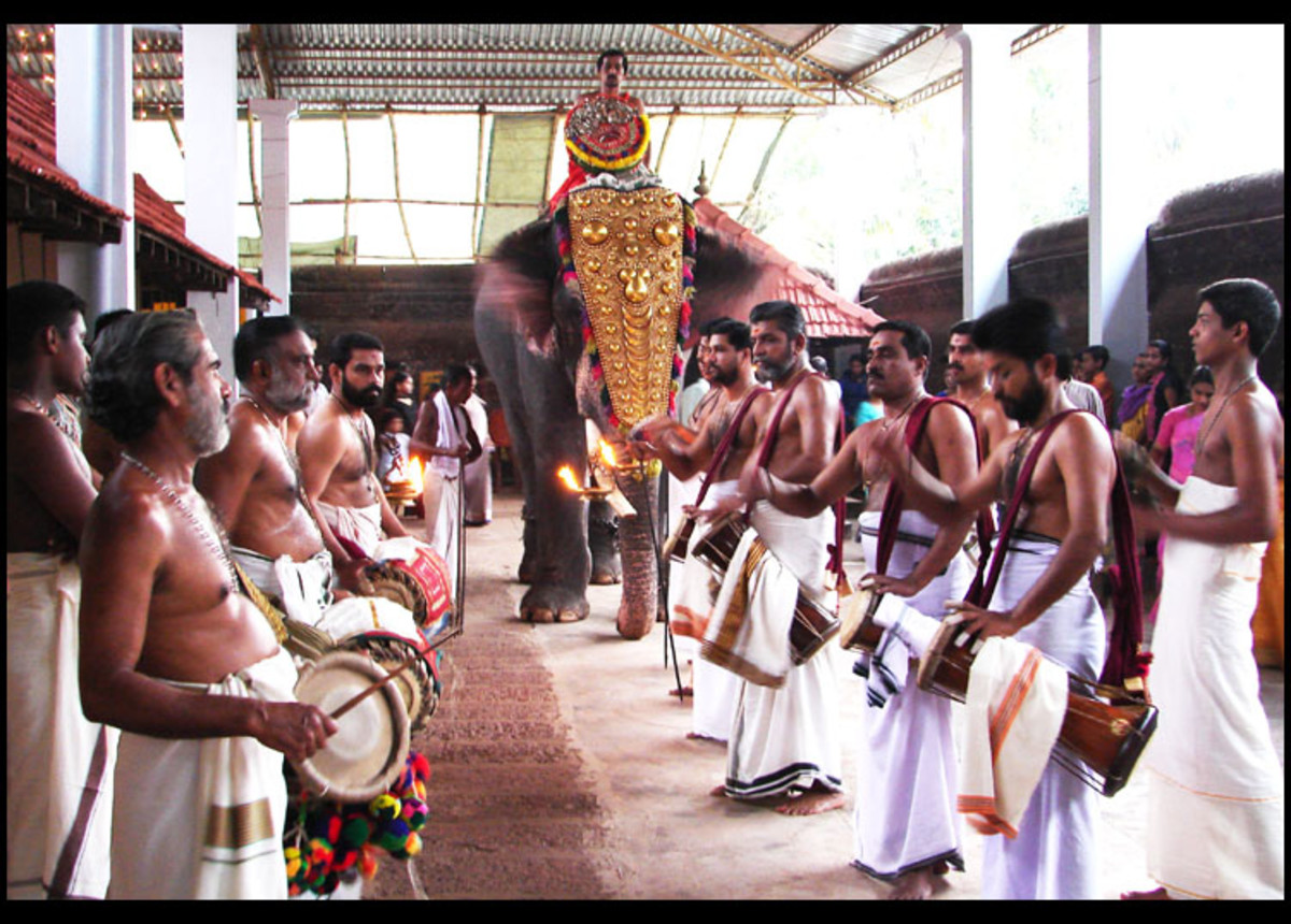 A temple ritual involving elephants