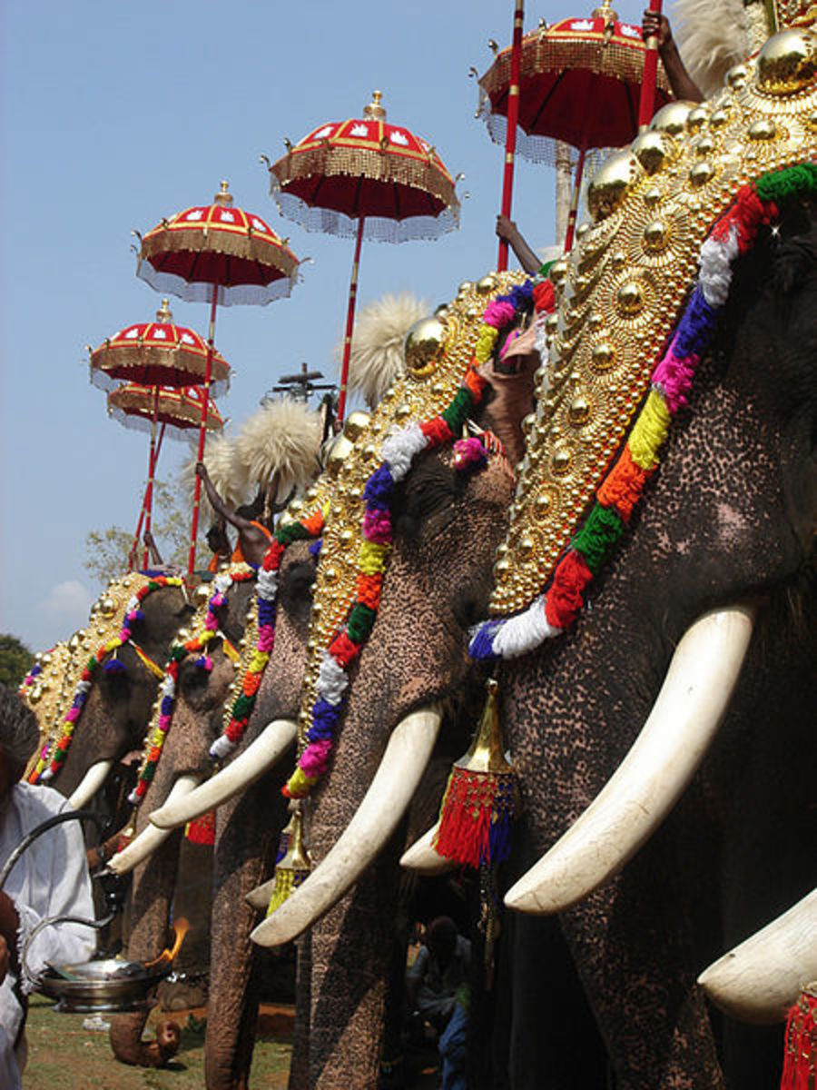 A picture taken during the famous Thrissur Pooram
