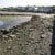 Bowmore Harbour beach at low tide