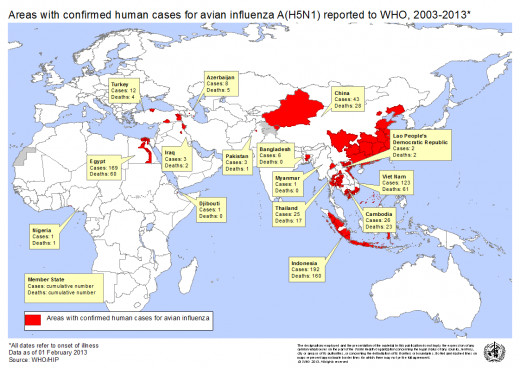 Map of Avian flu outbreaks