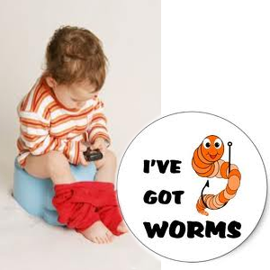 What d you know about Stomach Worms?