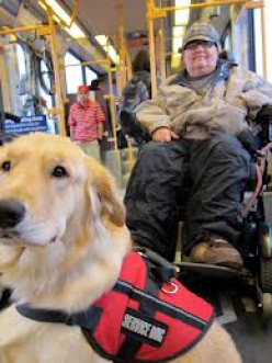 Types of Service/Assistance Animals