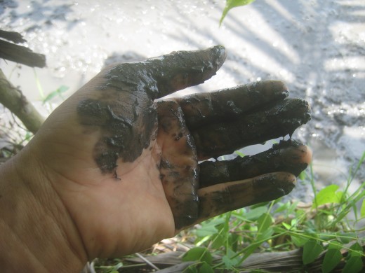 My hand with mud-dirt (Photo Source: Ireno Alcala aka travel_man1971)
