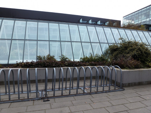 The only time the bike racks are this empty is when class is not in session.