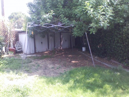The gazebo acts as a brace for the overgrown tree limbs for privacy purposes.
