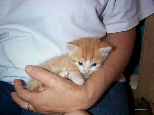 Zeke 3 weeks