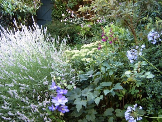 Create A Beautiful Garden In A Small Space 