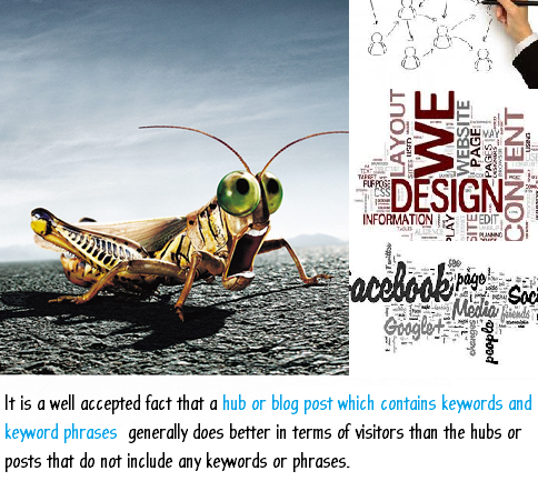 Creating a designer Hub