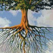 ktree profile image